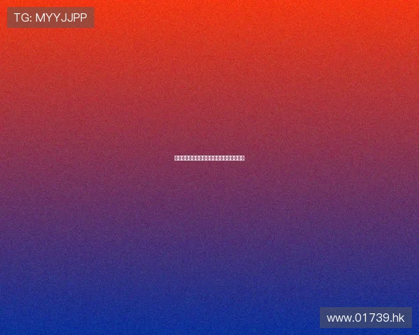 抗争之城:一座不屈的灵魂,一场永恒的叙事